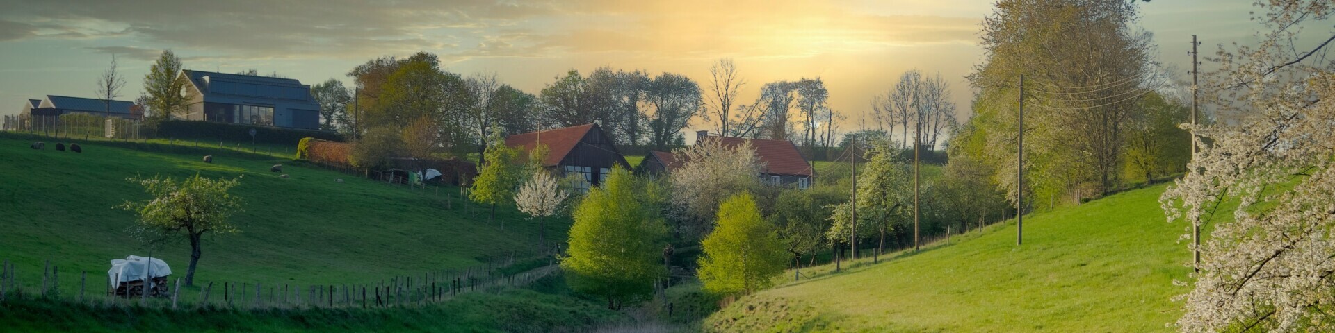 Eine sonnige Abendstimmung über Grashügeln. In der Mitte ein paar kleinere Fachwerkhäuser